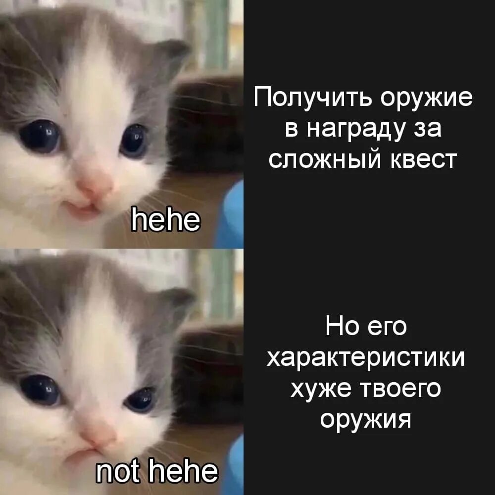 Котик хехе. Котенок хехе. котенок нот хехе. нот хехе мем кот. hehe кот мем.