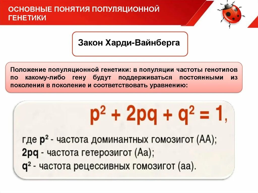 Закон Харди Вайнберга. Популяционная генетика закон Харди-Вайнберга. Харди-Вайнберга это в биологии. Задачи на закон Харди-Вайнберга с решением. Состояние равновесия харди вайнберга