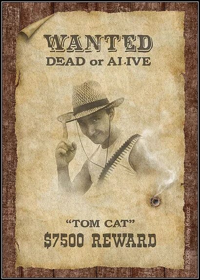 Wanted reward. табличка reward. рамка wanted. табличка разыскивается дикий запад. Wanted reward.