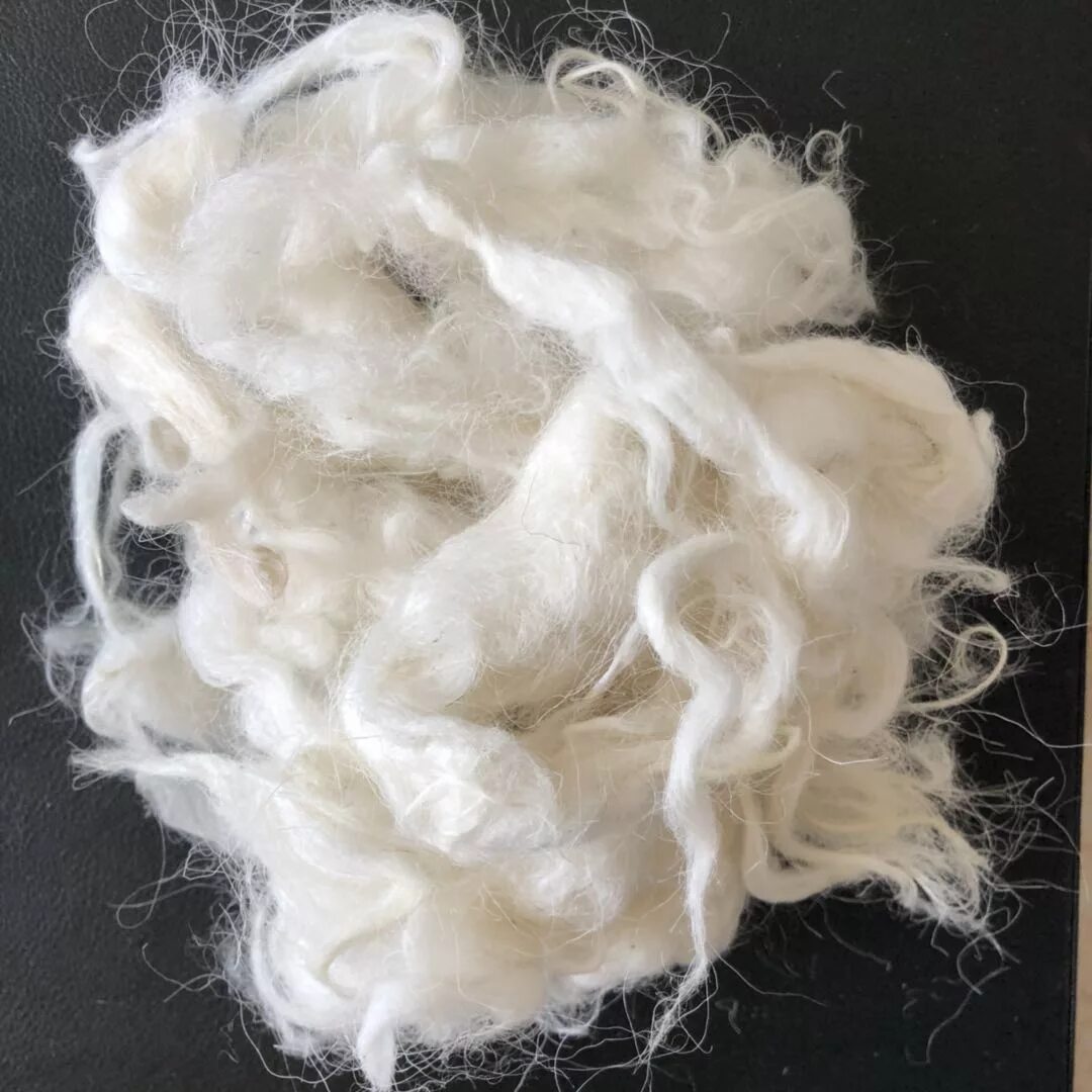 Wool шерсть. Овечья шерсть. шерсть овцы. баранья шерсть. белая овечья шерсть.
