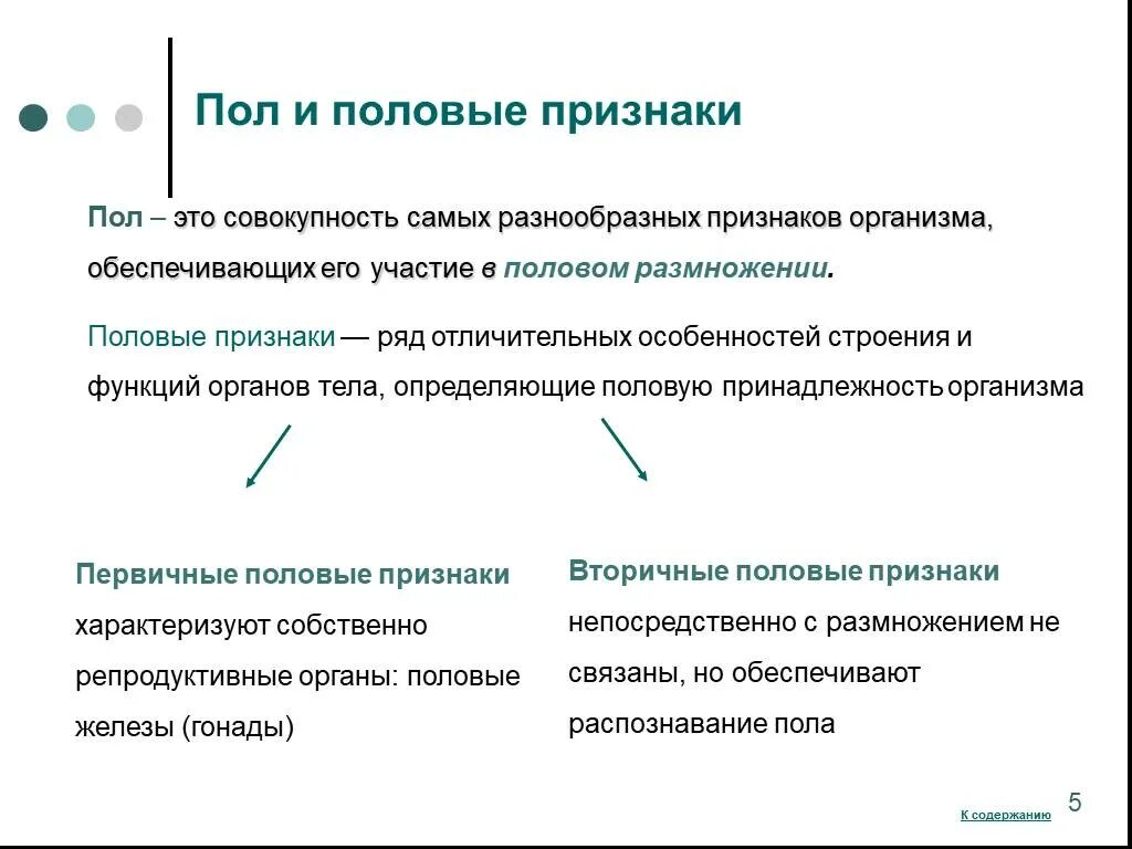 Первичные признаки мужчины. Первичные и вторичные половые признаки. Вторичные признаки пола. Первичные и вторичные половые признаки у человека. Половые признаки делятся на: первичные вторичные.