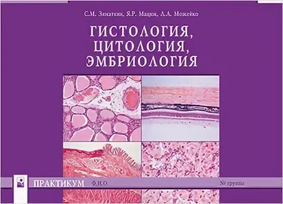 Гистология учебник. Зиматкин гистология. с м зиматкин гистология. практикум по гистологии. практикум по гистологии цитологии и эмбриологии.