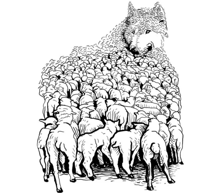 Силен овцам. Волк в овечьей шкуре. Стая Баранов. Бараны толпа. Толпа Баранов.