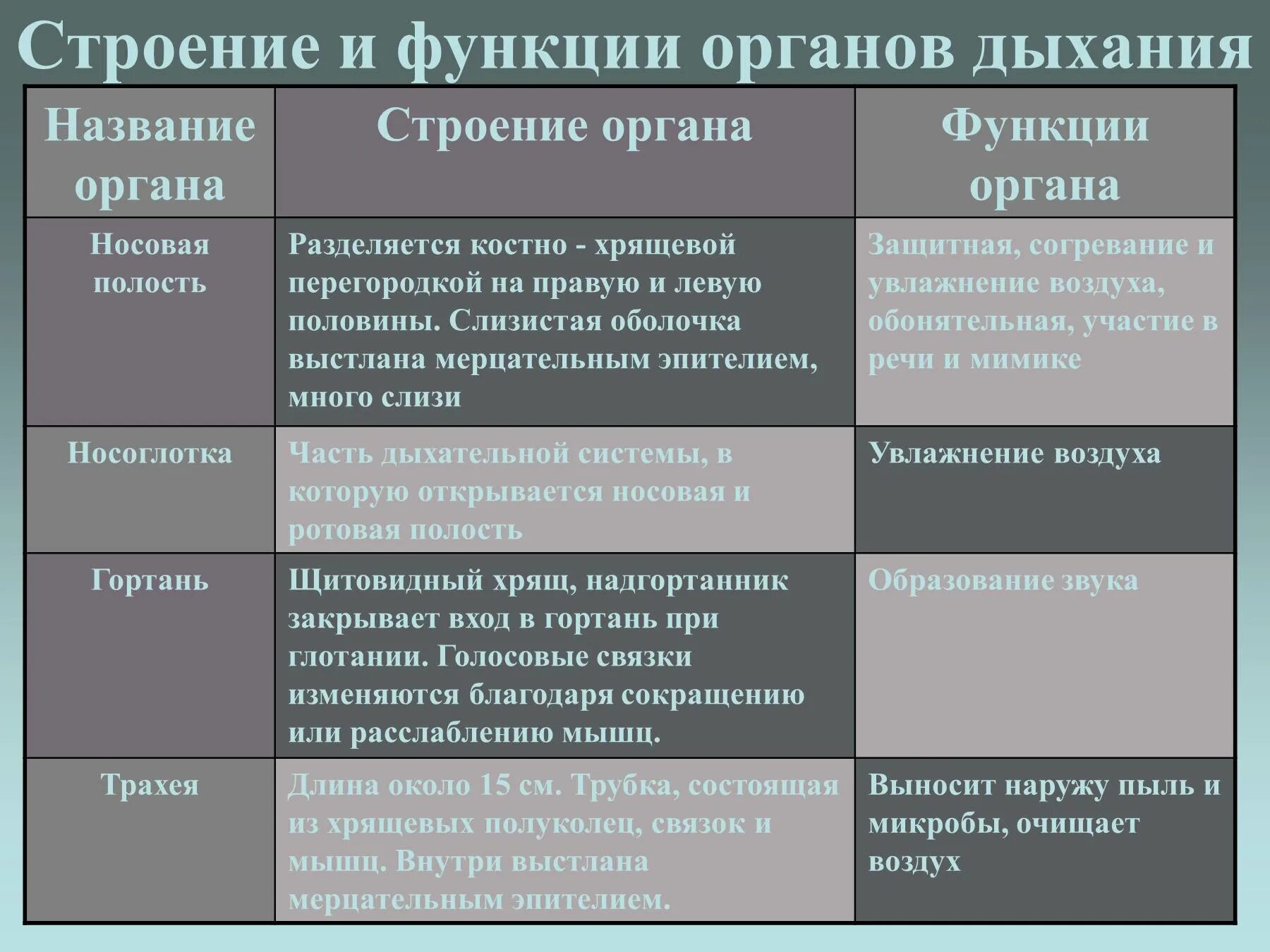 Дыхание таблица 8 класс биология. Носоглотка строение и функции. Органы дыхания их строение и функции таблица. Особенности строения носоглотки. Носоглотка особенности строения и функции.