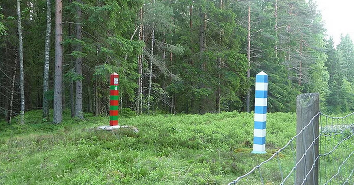 Приехавшие в Финляндию британские спортсмены по ориентированию сходили за границ