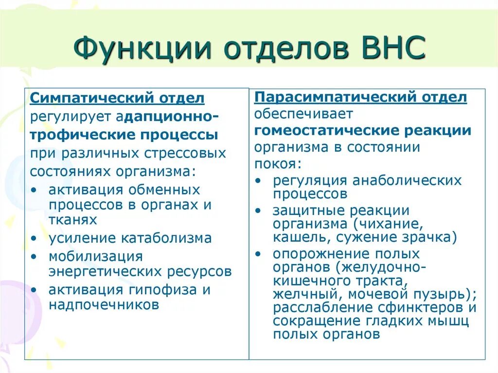 Симпатический отдел выполняет функции