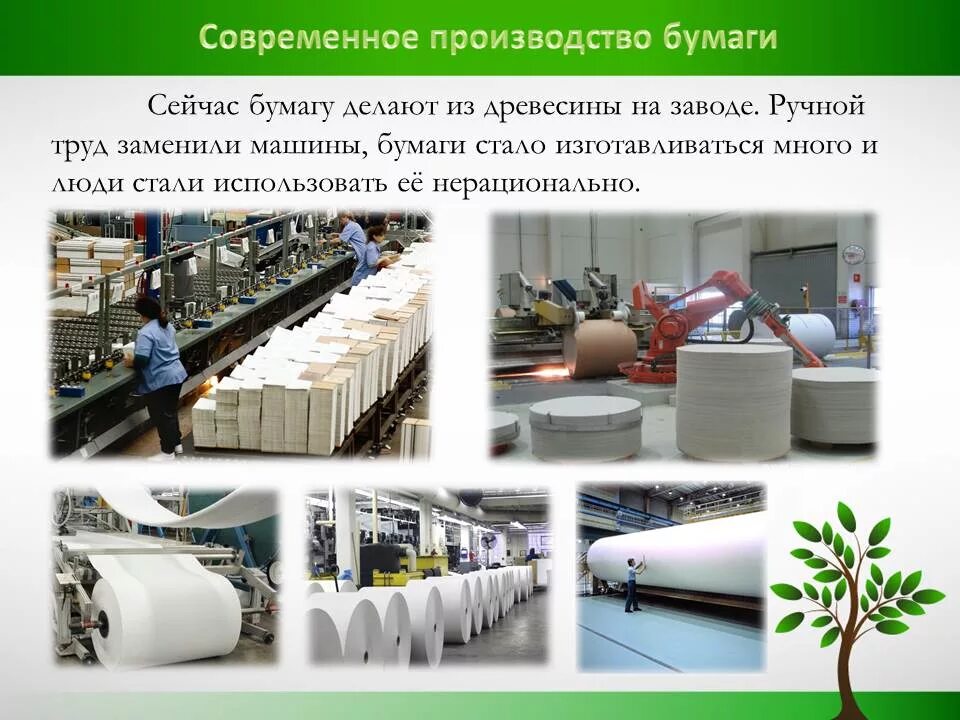 Этапы производства бумаги. Современное производство бумаги. Сырье для производства бумаги. Производство бумаги из древесины.