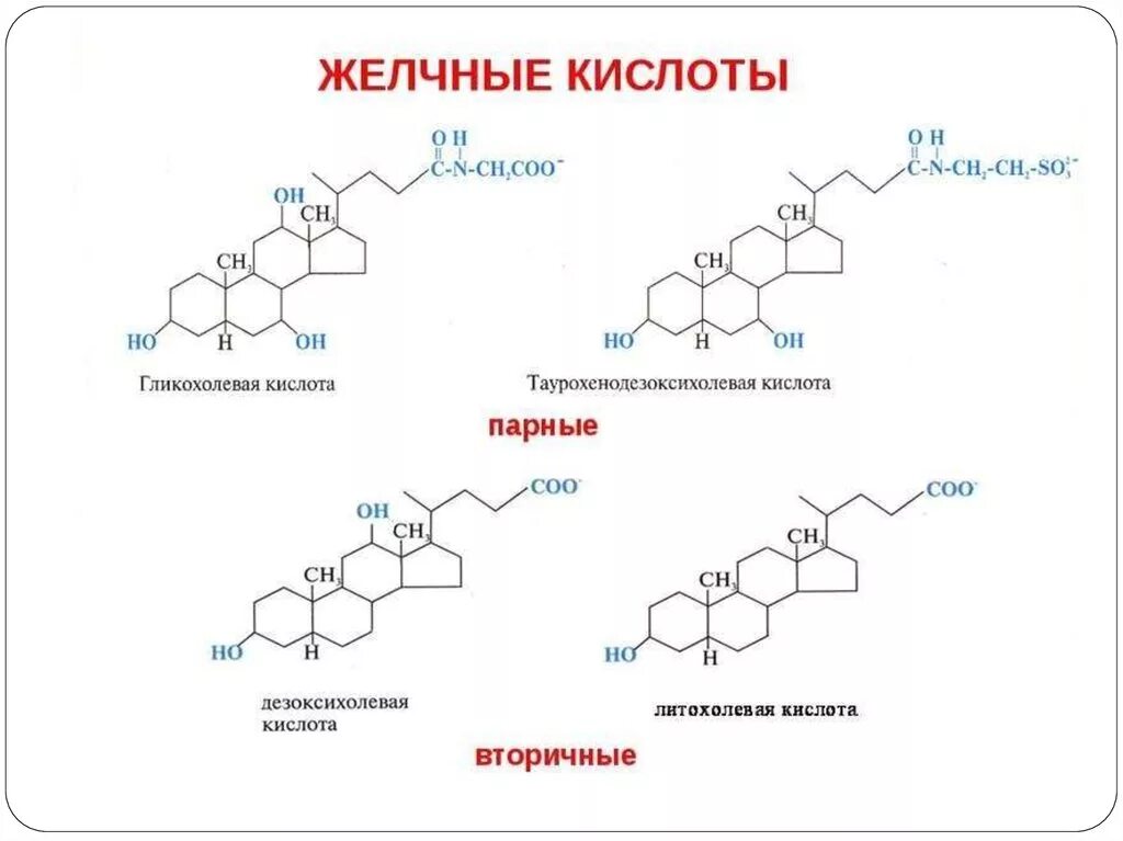 Структура кислот. Формулы парных желчных кислот. первичные и вторичные желчные кислоты биохимия. формула первичных конъюгированных желчных кислот. желчные кислоты формулы.