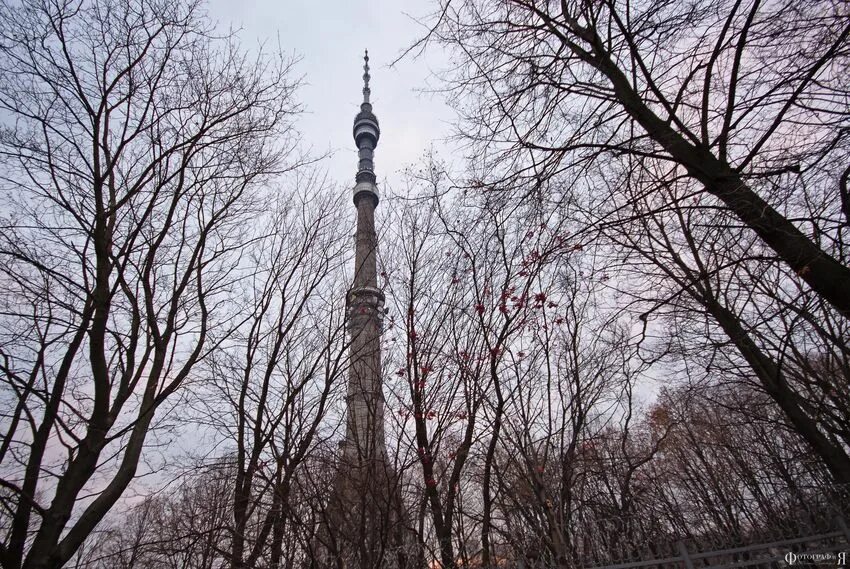 Село останкино. Деревня Останкино. Село Останкино Нижегородская область. Останкино высота. Картина осень Останкино.