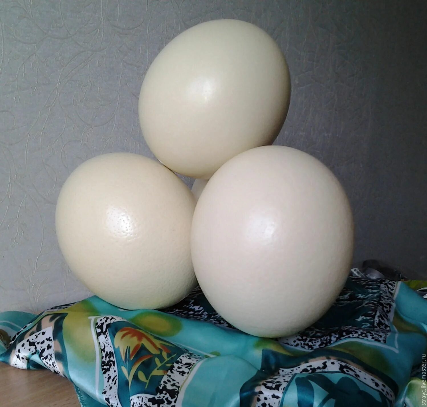 Яйцо страуса эму. Яйцо полое. Яйцо из гипса. Яйцо из гипса. Яйцо полое.