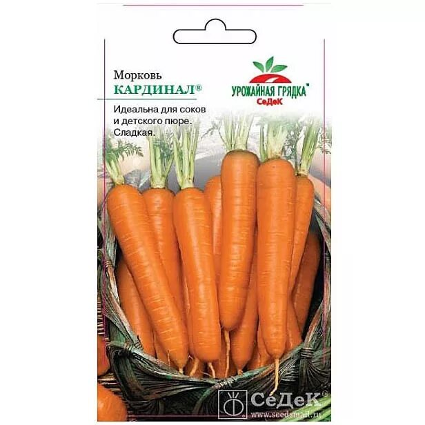 Морковь кардинал описание сорта. Морковь кардинал. Морковь кардинал отзывы и фото. Сорт моркови кардинал. Седек морковь кардинал.