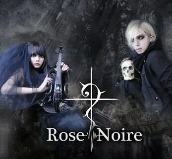 Rose noire