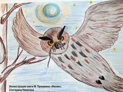 Нарисовать сову 2 класс литературное чтение