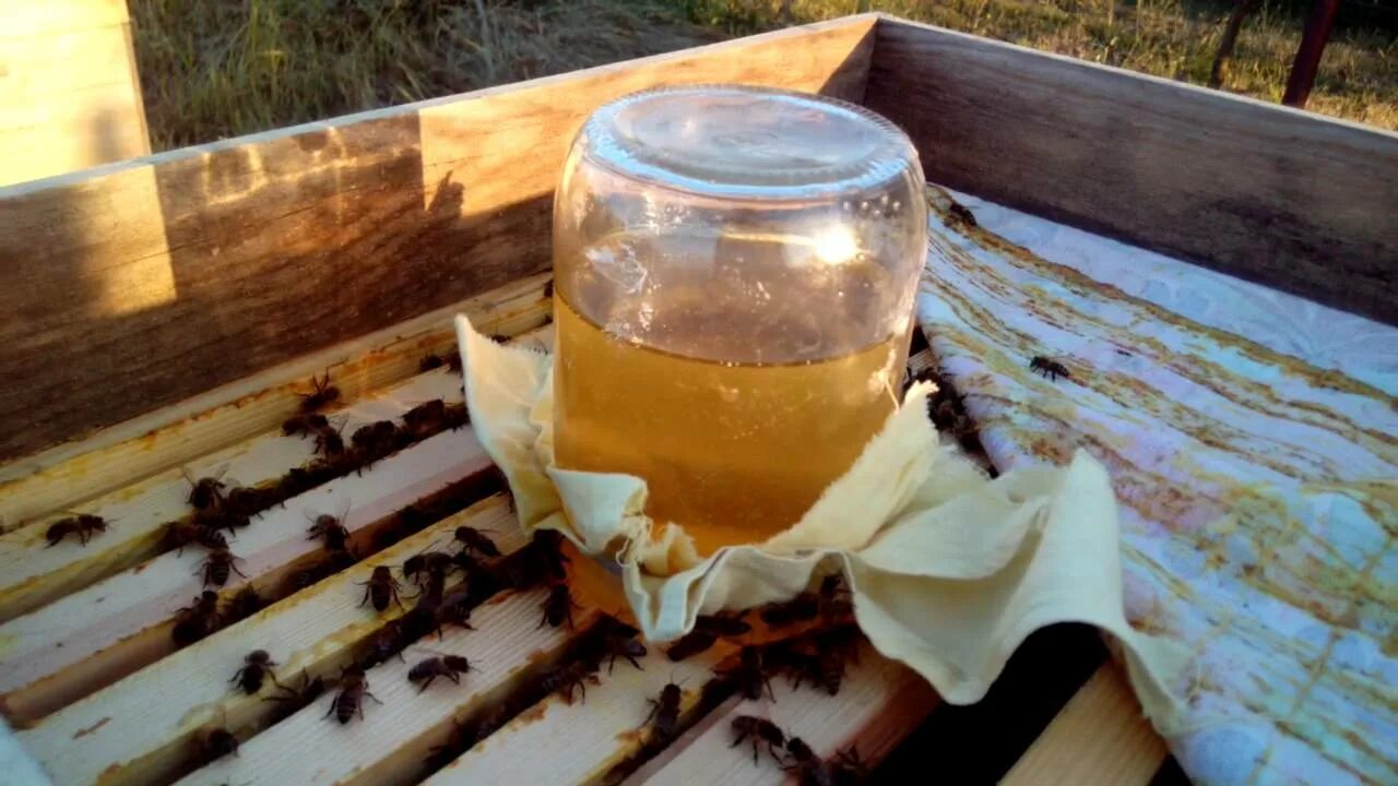Весенняя подкормка пчел сиропом. Подкормка пчел сахарным сиропом. Весенняя подкормка пчел медом. Кормушка для подкормки пчел. Кормушка для пчел для сиропа.