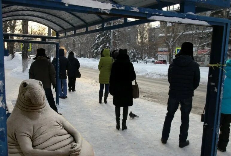 Ждун на остановке общественного транспорта. Ждун на остановке общественного транспорта зимой. Ждет на остановке зимой. Люди на остановке ждут автобус зимой. Аня ждет автобус на остановке