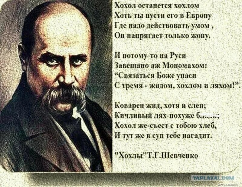 Вирш тараса шевченко. Т г шевченко биография. Бунтарь тарас шевченко. Тарас шевченко стихи. Шевченко кацап.