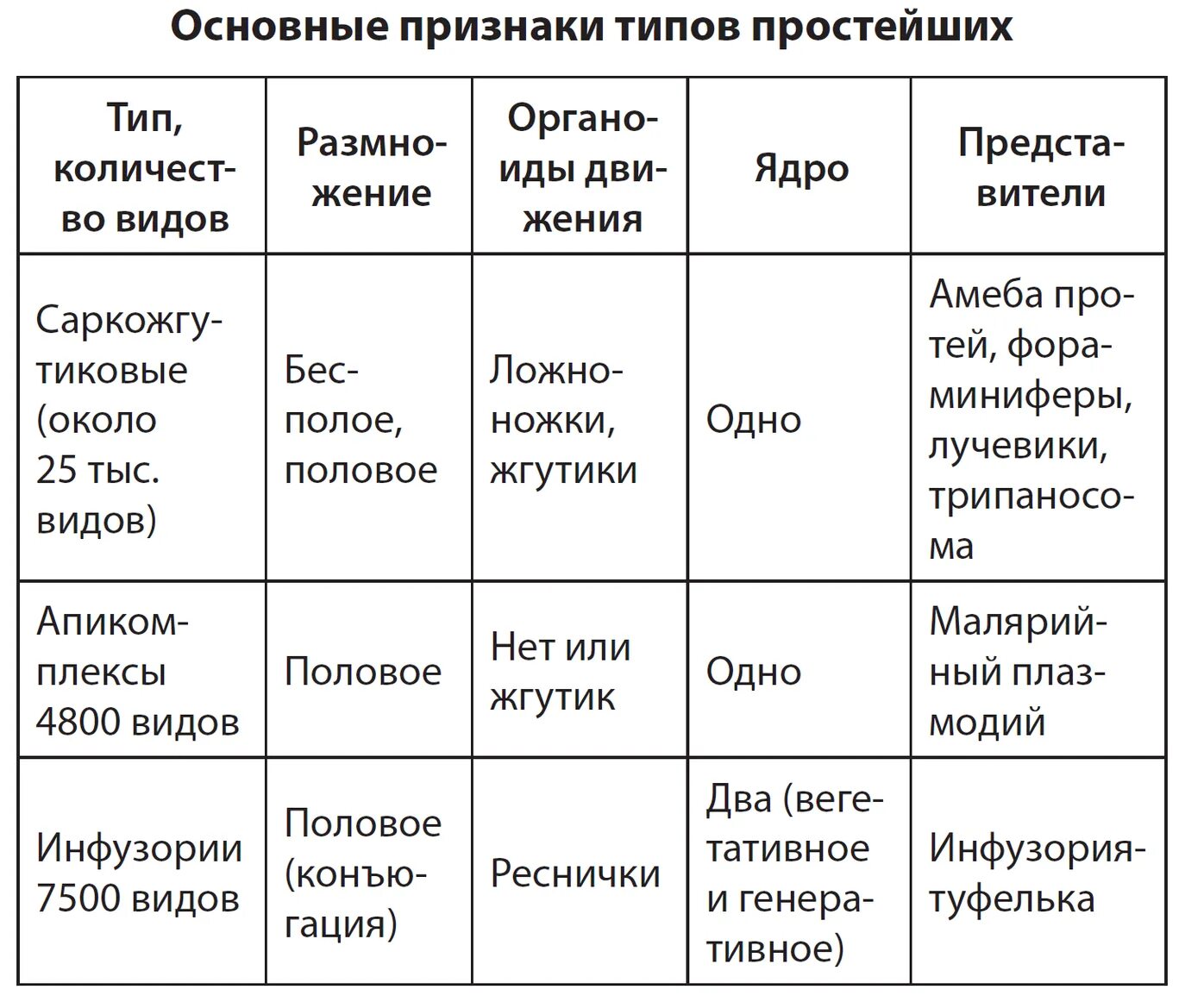 Строение протистов таблица. Протисты сравнительная таблица. Общая характеристика простейших. Тип простейшие таблица