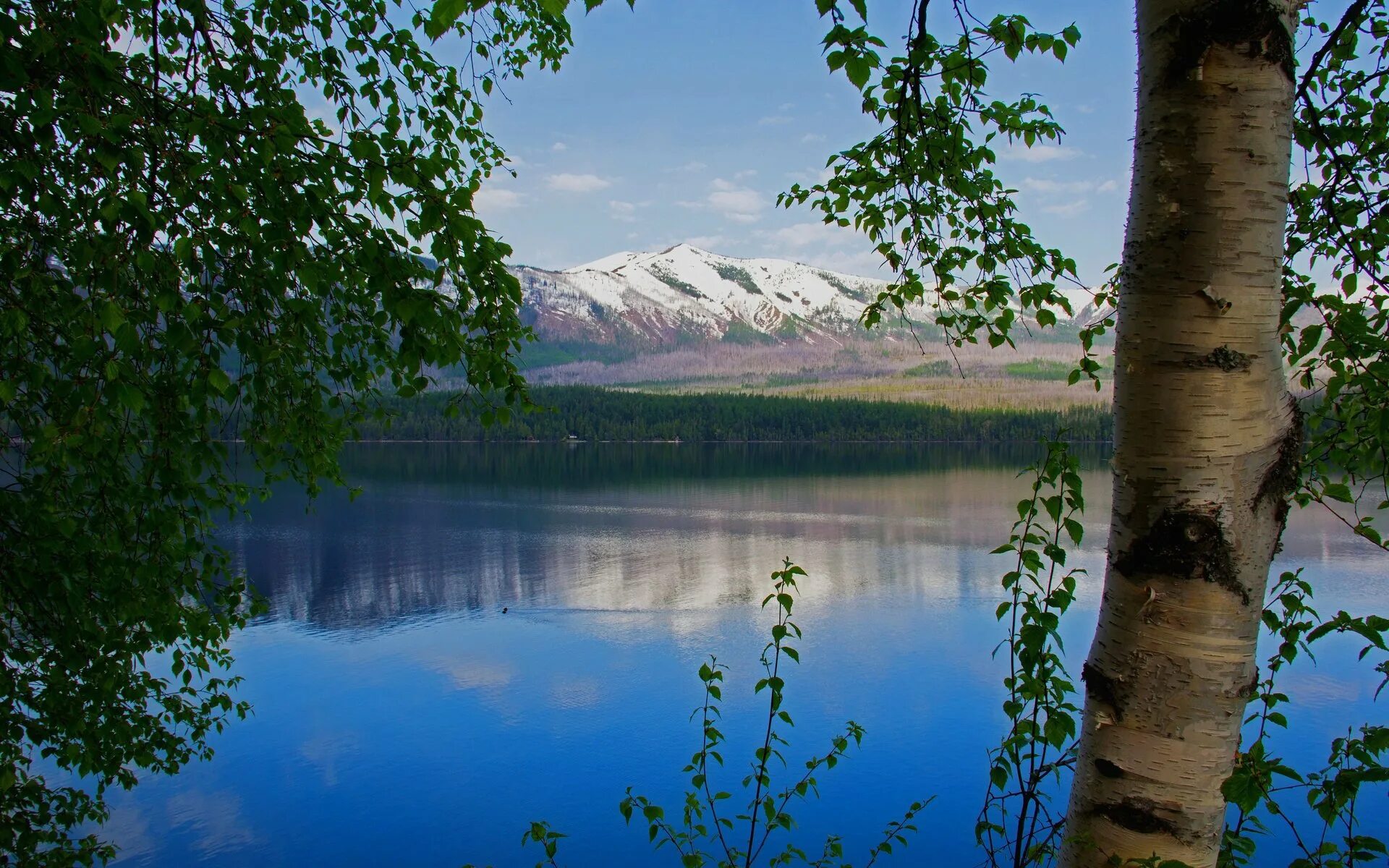 Березки водохранилище