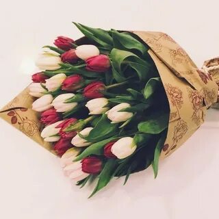 Тюльпаны тюмень