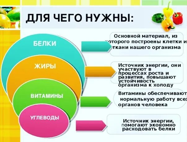 Какие нутриенты являются критически значенными