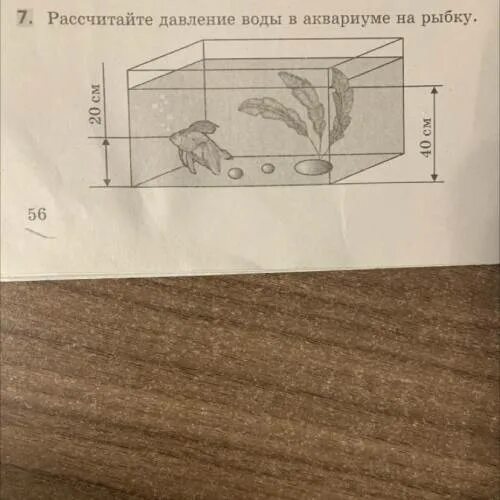 Рассчитайте давление воды ва квариуме на рыьку. Рассчитайте давление воды в аквариуме на рыбу. Давление воды в аквариуме на рыбку 20 см 40см. Рассчитайте давление на рыбку. Рассчитайте давление в аквариуме на рыбку