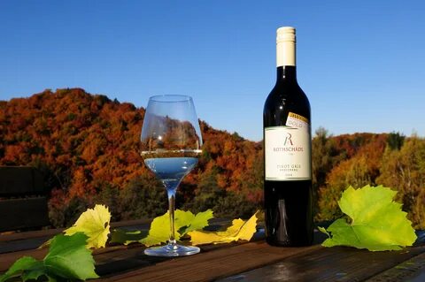 Wein