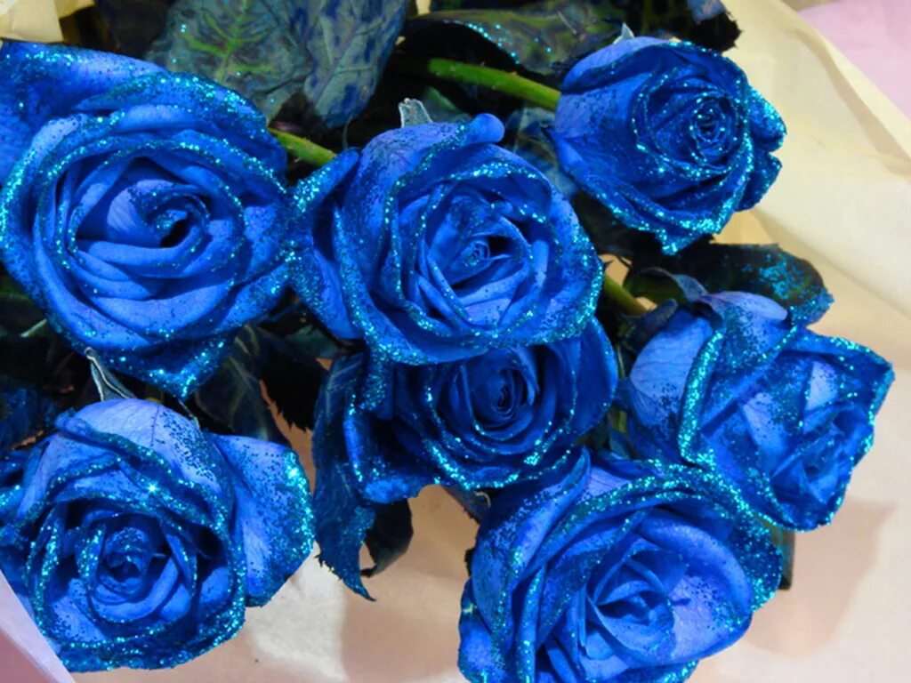 Красивые цвет из синих цветов. Голубые розы букет. Букет синих роз. Красивый букет синих роз.
