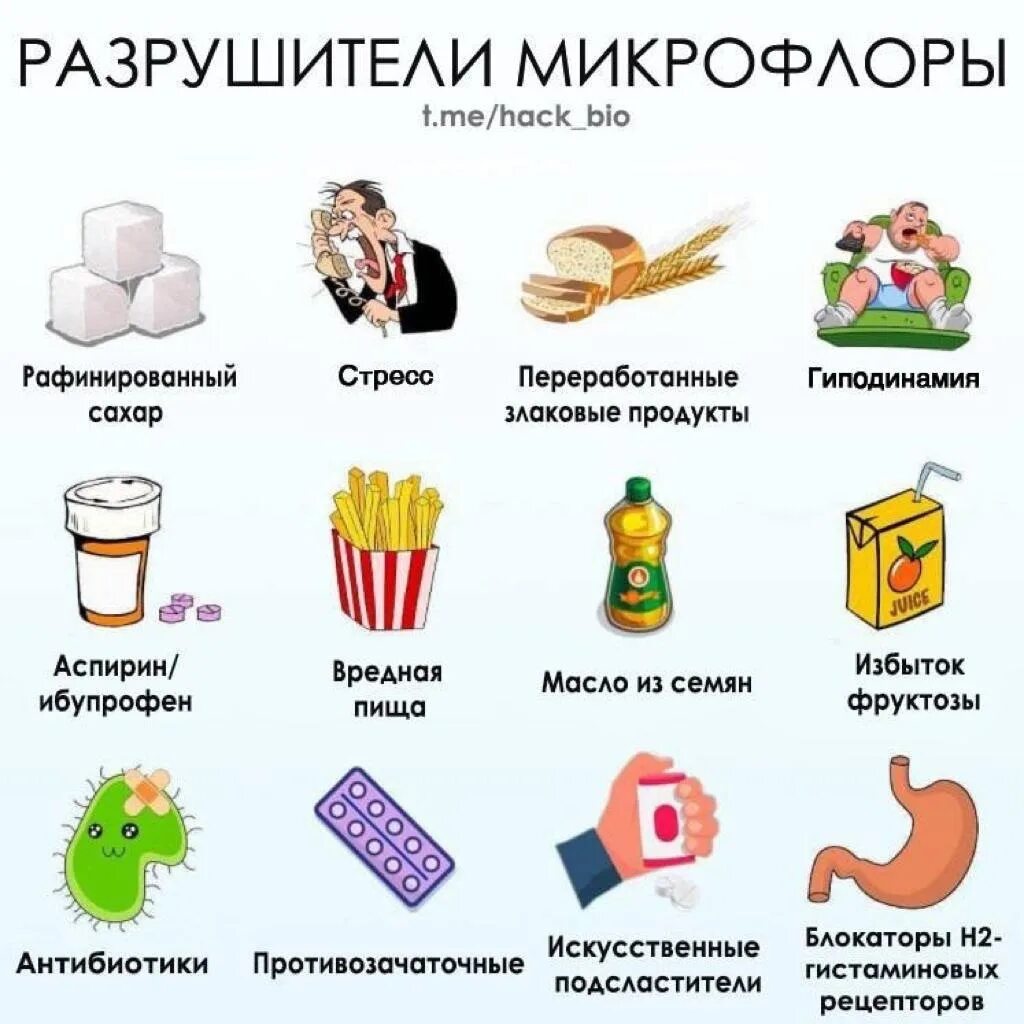 Фрукты полезные для кишечника. Полезные продукты для кишечника. Легкие продукты для кишечника. Легкие продукты для кишечника. Питание для здорового кишечника.