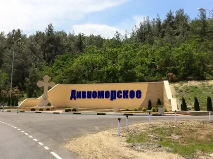 Куренок дивноморское