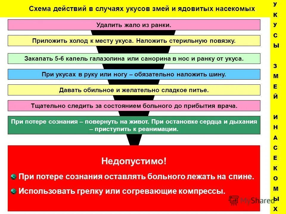 Действия в случае укуса ядовитых насекомых