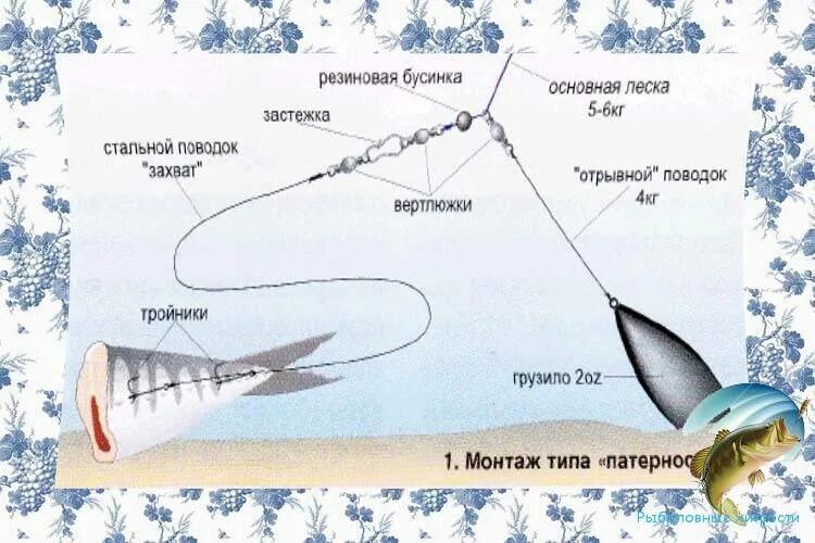 Снасть для ловли судака. Монтаж донной снасти для ловли судака. Донная снасть на судака с берега. Донная снасть на судака на живца на течении. Донная оснастка на судака с живцом.