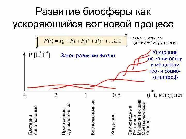 Можно ли считать завершенным процессом формирования биосферы. Формирование биосферы. Процесс развития биосферы. Эволюция биосферы. Длительность эволюции биосферы.