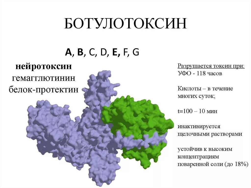 Ботулотоксин химическое строение. Ботулотоксин белок. Структура ботулотоксина. Строение ботулотоксина типа а. Группа токсин