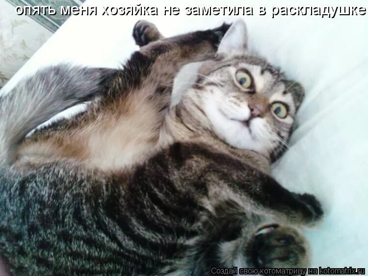 но ты обалдеть красивая меня аж текст. открытки обалдеть. обалдеть красавица. открытки со словом обалдеть. балдею с тебя.