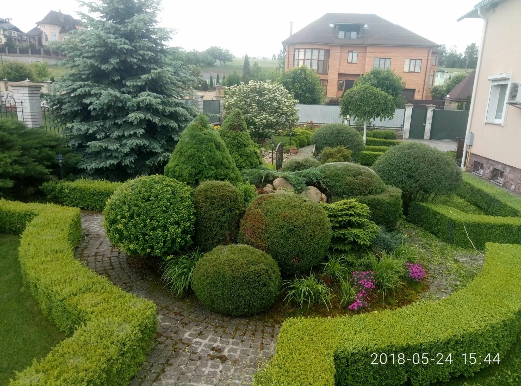 Круглые хвойные