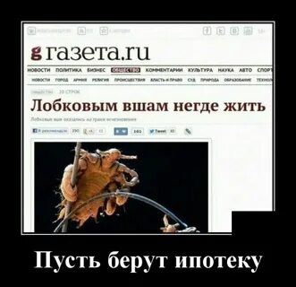 Кому негде жить возьму к себе