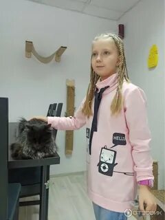 Шерсть екатеринбург