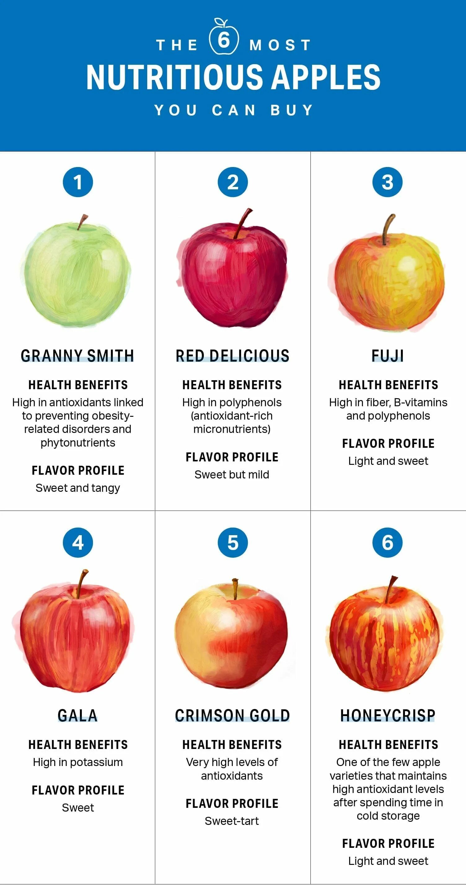 Сколько калорий в одном зеленом яблоке. Калории в яблоке ГРЕННИ Смит. Яблоко ГРЕННИ Смит калорийность. Яблоко гренои Смит калорий. Яблоко ГРЕННИ Смит калорийность 1 шт.