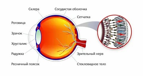 Смог какая оболочка