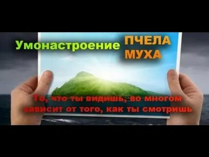Умонастроение