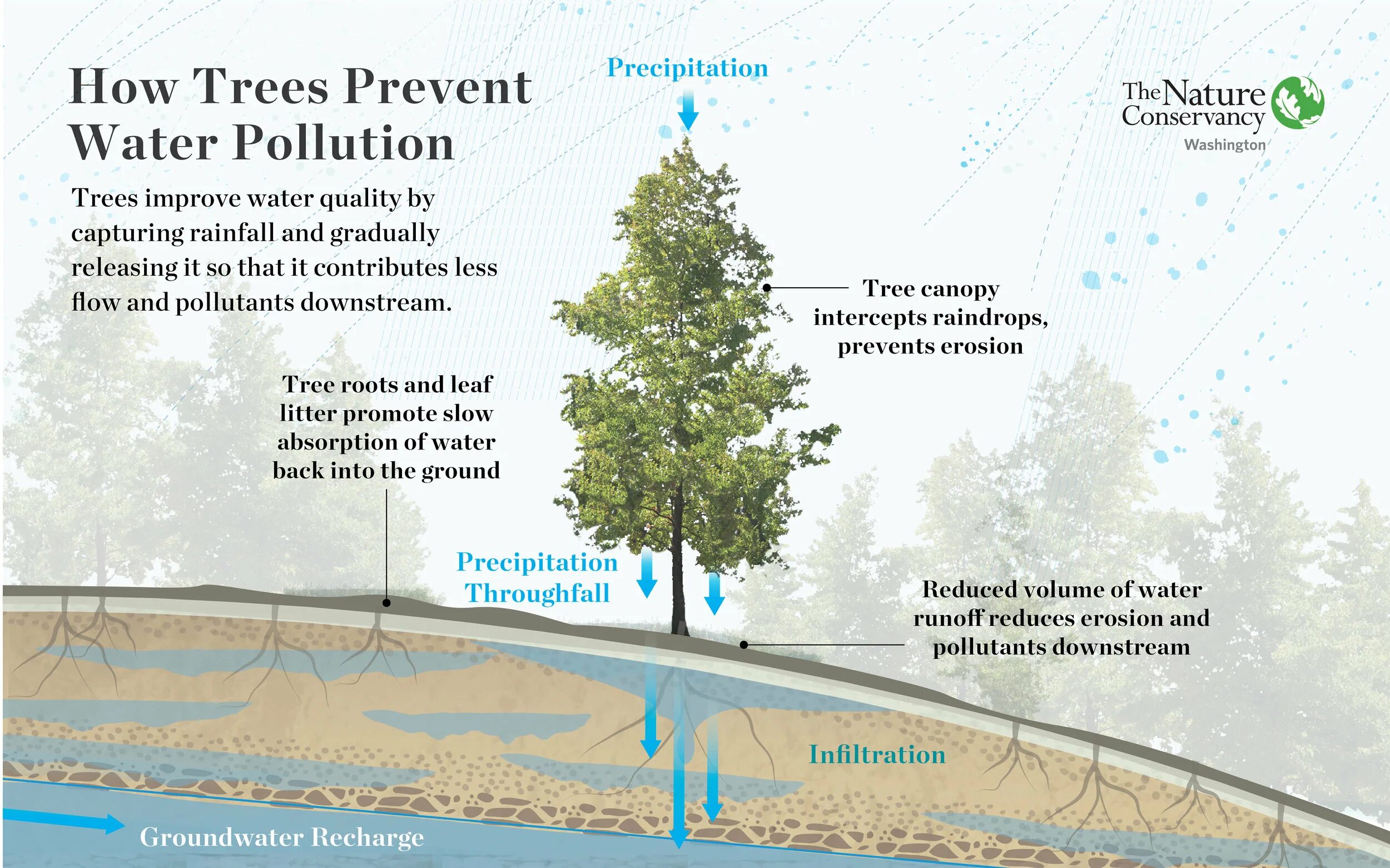 How to prevent Water pollution. Water pollution solutions. Prevent Water pollution. Water pollution Prevention.