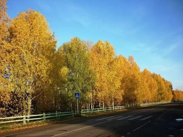 Рп5 верхнепашино. Рп5 верхнепашино