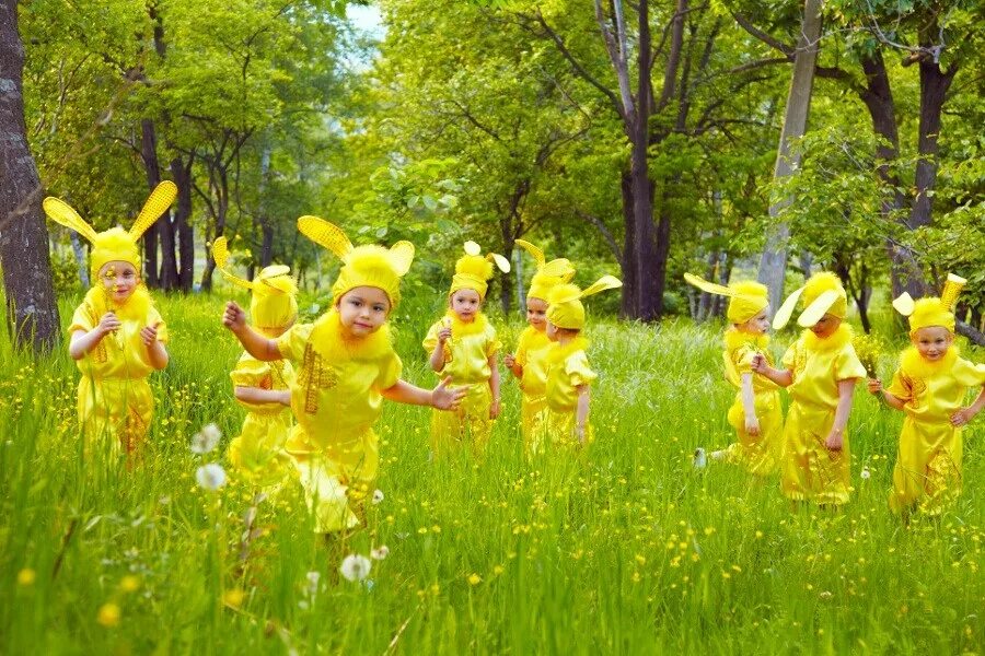 Кот и солнечный зайчик. Разноцветные солнечные зайчики. Солнечный заяц. Солнечный зайчик свет. Зайчик солнечный свет.