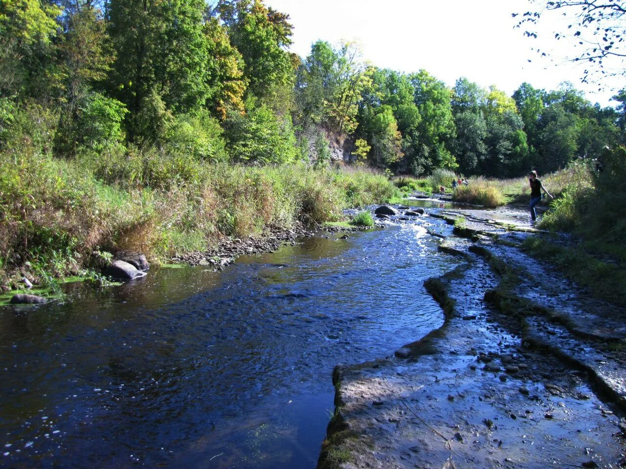 назия приладожское городское поселение