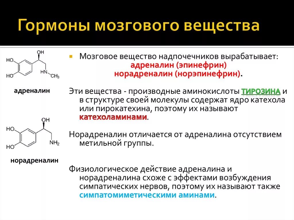 Гормоны сетчатой зоны. Гормоны мозгового вещества надпочечников являются производными:. Гормоны мозгового слоя надпочечников химическая природа. Адреналин норадреналин гормоны мозгового слоя надпочечников. Катехоламины – гормоны мозгового слоя надпочечника..