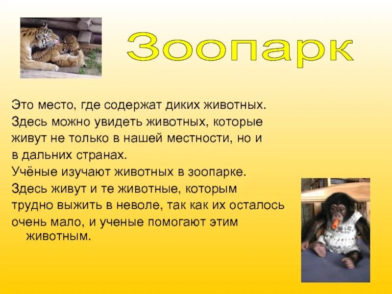 Животные зоопарка с описанием. Рассказ про новосибирский зоопарк. Животные зоосада описание. Доклад про зоопарк. Доклад о животных зоопарка.