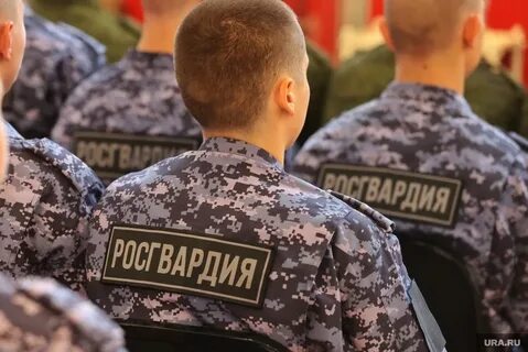 Законопроект о добровольческих в росгвардии