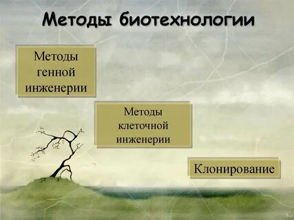 Биотехнология методы