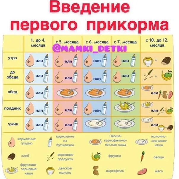Какие пюре можно давать с 4 месяцев. Схема введения овощного прикорма с 6 месяцев. схема введения прикорма при грудном вскармливании с 6 месяцев. схема прикорма с 6 месяцев при грудном вскармливании. таблица введения овощей в прикорм.
