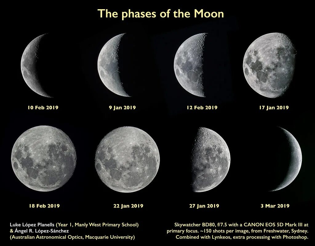 Как переводится мун. Moon phases. Фазы Луны phases of the Moon. Обои на телефон фазы Луны. Постеры на стену фазы Луны.